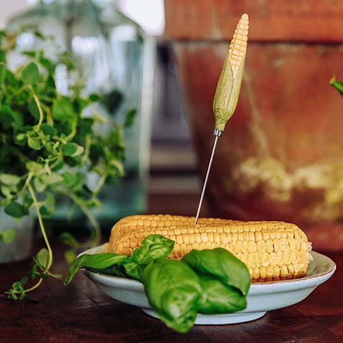 Wildlife Garden kaktester Maissi - Naturrelaterade produkter - WG5005 - 1