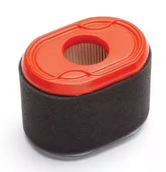 Luftfilter B&S 796970 - Reservdelar för lokal motorer - 024847716955 - 1