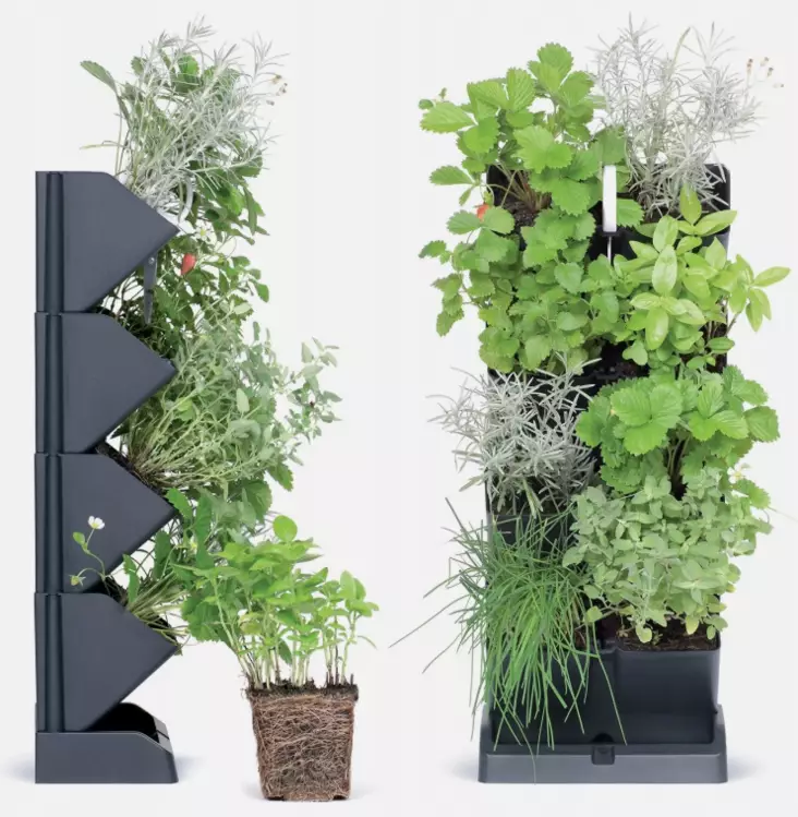 Planteringslåda för vägg/bord - Plantuppfödning - 5905197289885 - 1