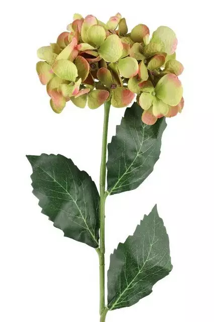 Grön hortensia 60 cm - Hobbyartiklar - 6410416486925 - 1