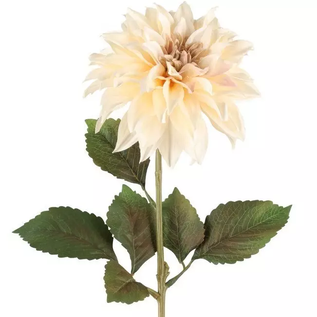 Dahlia 74 cm krämfärgad - Hobbyartiklar - 6410416567785 - 1