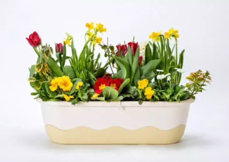 Mareta balkonglåda vit - Krukor, vaser, korgar - 8590415961475 - 1