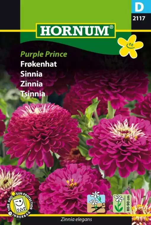 Zinnia ´Purple Prince´ - Frön och sättpotatisar. - 5708787021175 - 1
