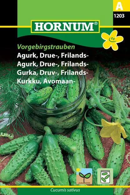 Sälta gurka ´Vorgebirgstrauben´ - Frön och sättpotatisar. - 5708787012036 - 1