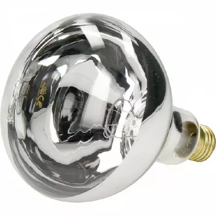 Farma värmelampa 230V 250W klar - Djurskötselutrustning - 8716106849956 - 1