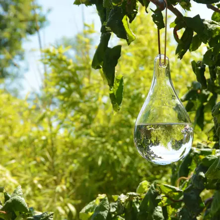 Flugfångare av glas - Flugbekämpning - 8714982148996 - 2