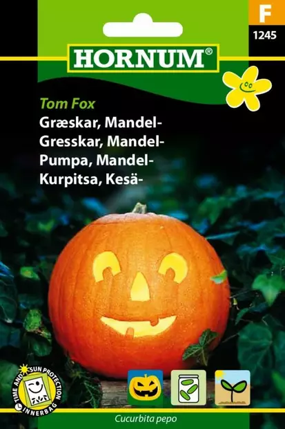 Sommarpumpa 'Tom Fox' - Frön och sättpotatisar. - 5708787012456 - 1