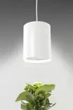 Airam Fiora LED-växtlampa E27 10W - Plantuppfödning - 6435200228246 - 1