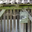 Metallskylt Farm Fresh Milk - Andra vackra saker - 8714982127656 - 2