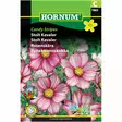 Röd kosmosblomma ´Candy Stripes´ - Frön och sättpotatisar. - 5708787018656 - 1