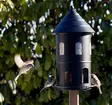 Wildlife Garden Gigant fåmatare svart - Fågelbrädor och holkar - WG326 - 1