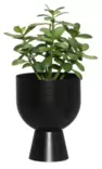 Kruka Nala 16 cm mattsvart - Krukor, vaser, korgar - 6410416443836 - 2