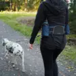 SafeMate dragsele för hundpromenader - Koppel och halsband - 6418536029046 - 2