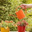Naturfärger kastelukanna färgglad 1,3 L - Vattenkannor, sprayflaskor - 8714982251146 - 6