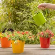 Naturfärger kastelukanna färgglad 1,3 L - Vattenkannor, sprayflaskor - 8714982251146 - 2