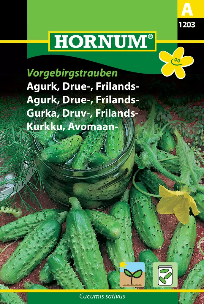 Sälta gurka ´Vorgebirgstrauben´ - Frön och sättpotatisar. - 5708787012036 - 1
