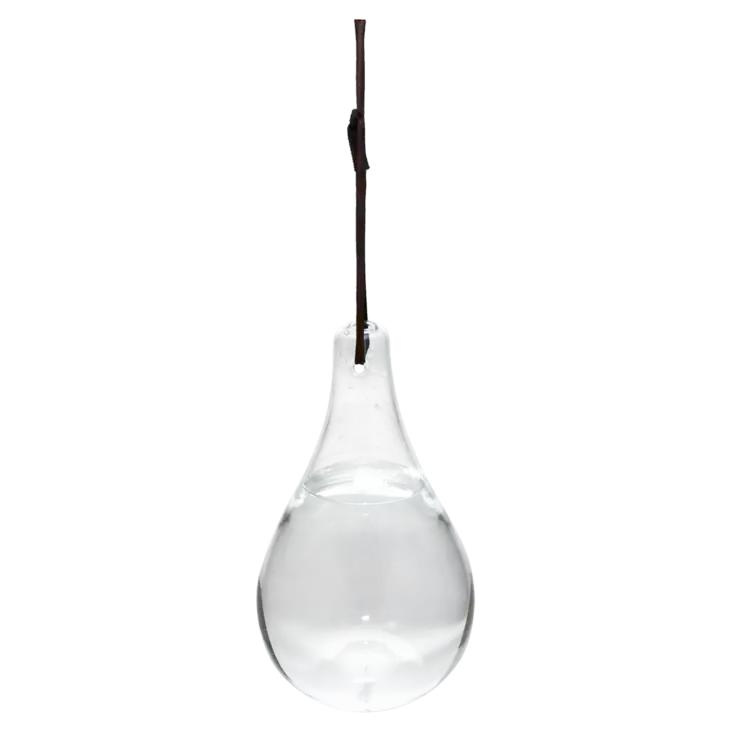 Flugfångare av glas - Flugbekämpning - 8714982148996 - 1