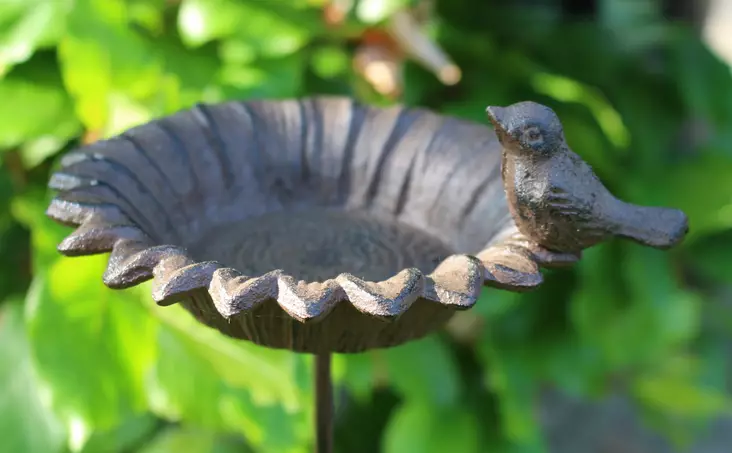 Fågelbad solros med fot - Fågelfat - 8714982103346 - 1