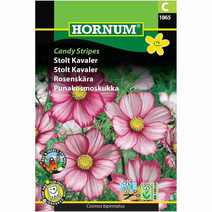 Röd kosmosblomma ´Candy Stripes´ - Frön och sättpotatisar. - 5708787018656 - 1