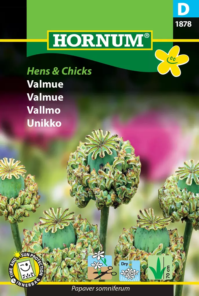 Valmofrö ´Hens & Chicks´ - Frön och sättpotatisar. - 5708787018786 - 1