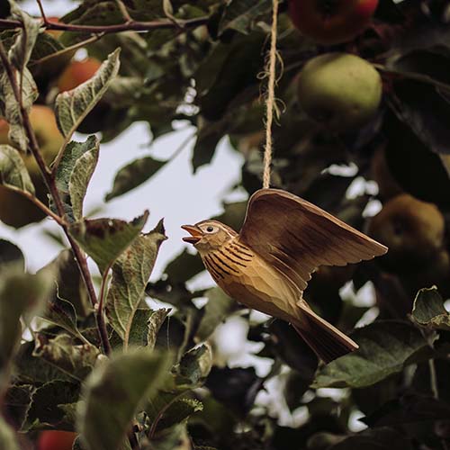 Wildlife Garden Tornseglare i flykt - Naturrelaterade produkter - WG4446 - 1
