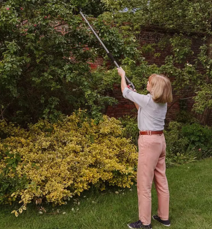 Kent & Stowe långskaftade multifunktionssaxar - Grensaxar och sågar - 5060396799976 - 1