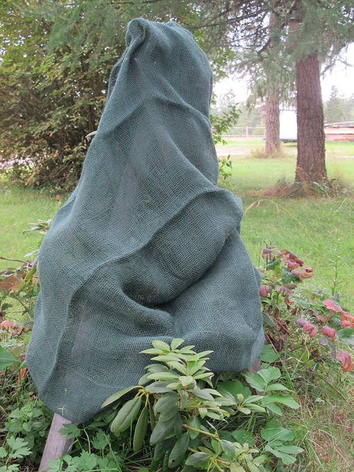 Jutetröja Ø98x98 cm grön - Skuggvävar - 6430040622766 - 1