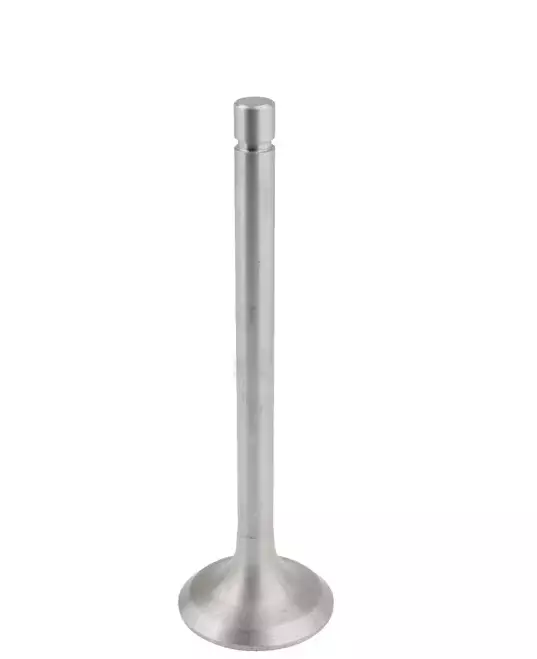 Sugventil, passar Belarus - Motor - 8719607143776 - 1