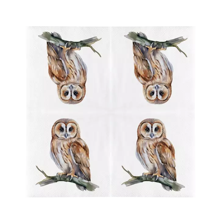 Uggla servetter 20 st/fp - Fågelrelaterade produkter - 8714982286476 - 1