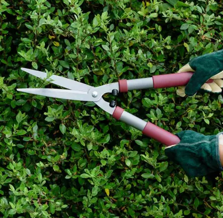 Kent & Stove pensax - Grensaxar och sågar - 5060396793967 - 2