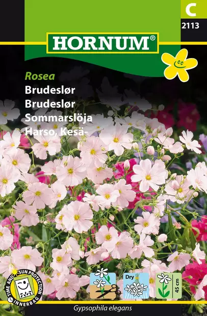 Sommarharsyra ´Rosea´ - Frön och sättpotatisar. - 5708787021137 - 1