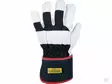Vinterhandske 6.003 av koskinn (P) - Arbetshandskar - 8719607154987 - 1