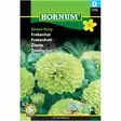 Zinnia ´Green Envy´ - Frön och sättpotatisar. - 5708787017727 - 1