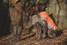 Hurtta Outdoors Worker Skyddsväst, hållbar, Orange/Camo - Jaktutrustning och -pejlar för hundar - 6410329332432 - 3