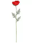 Jättevallmo 65 cm röd - Hobbyartiklar - 6410416440187 - 2