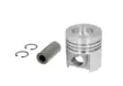 Standard kolv, utan ringar, passar CASE-IH - Motor - svm000007037 - 1