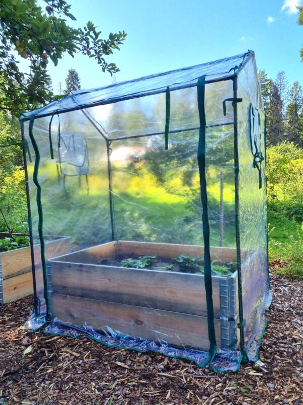 Växthus för odlingslåda - Växthus, odlingsbäddar - 6430068432477 - 1