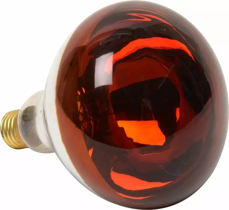 Värmelampa Farma 150W röd - Djurskötselutrustning - 8719493512267 - 1