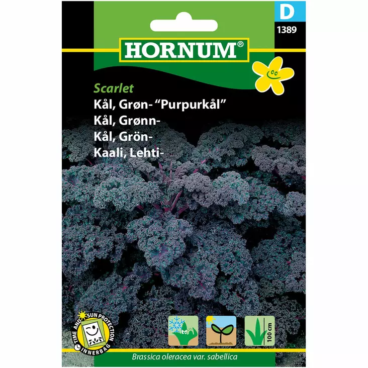 Grönkål 'Scarlet' - Frön och sättpotatisar. - 5708787013897 - 1