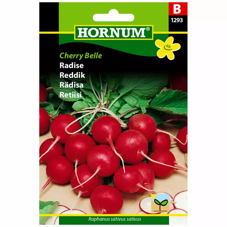 Rädisa ´Cherry Belle´ - Frön och sättpotatisar. - 5708787012937 - 1