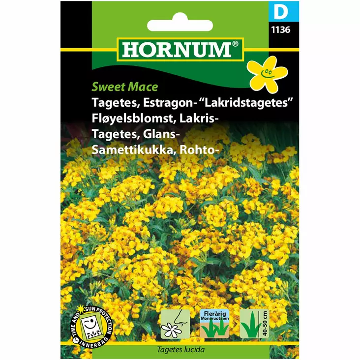 Medicinsk sammetblomma 'Sweet Mace' - Frön och sättpotatisar. - 5708787011367 - 1