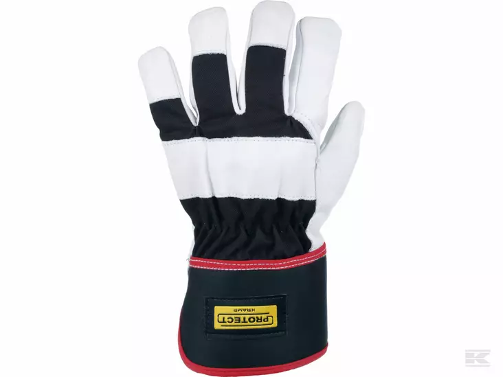 Vinterhandske 6.003 av koskinn (P) - Arbetshandskar - 8719607154987 - 1