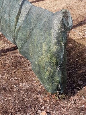 Skugg-, vind- och insynsskyddsnät - Skuggvävar - 6430040629307 - 1