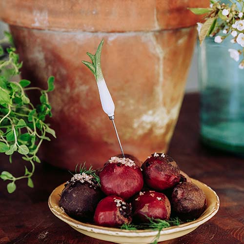 Wildlife Garden kakkutestare Purjo - Naturrelaterade produkter - WG5007 - 1