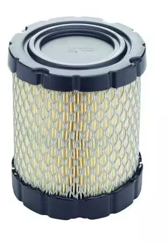 4250 Briggs & Stratton luftfilter - Reservdelar för lokal motorer - 024847979527 - 1