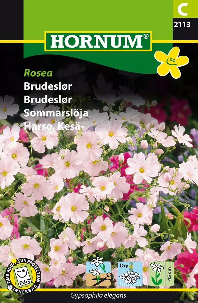 Sommarharsyra ´Rosea´ - Frön och sättpotatisar. - 5708787021137 - 1