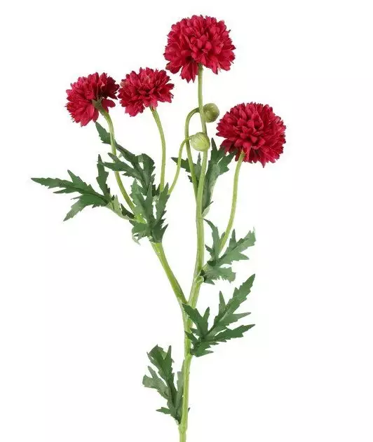 Mörkröd bollkrysantem 61 cm - Hobbyartiklar - 6410416575377 - 1