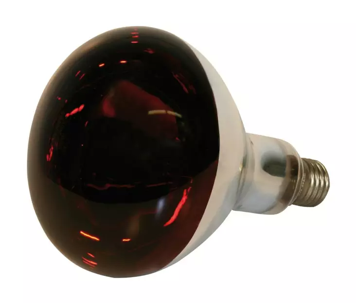 Infraröd lampa 150W röd - Djurskötselutrustning - 4018653222447 - 1