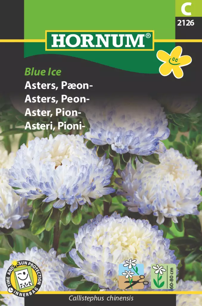 Kinastern 'Blue Ice' - Frön och sättpotatisar. - 5708787021267 - 1