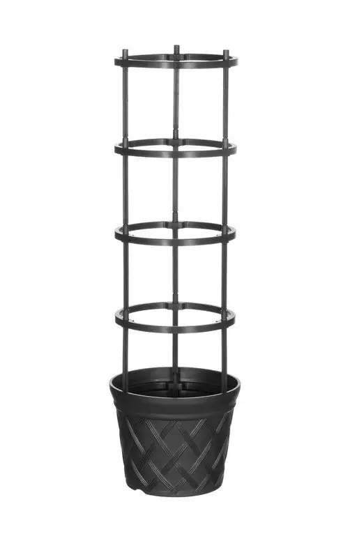 Tomatkruka med stöd 30 cm - Plantuppfödning - 6410416338507 - 1